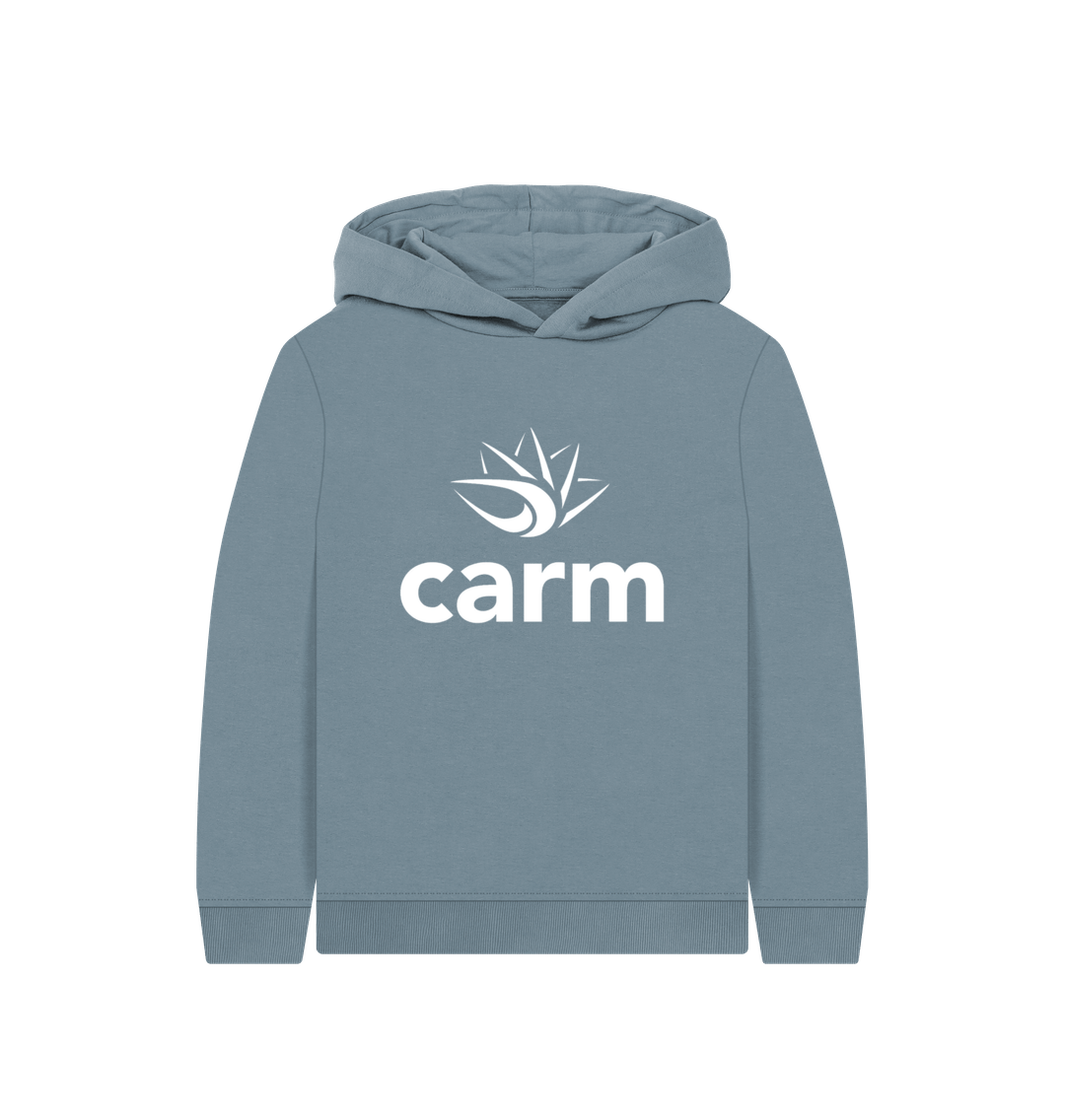 Stone Blue Printed Kids Hoodie
