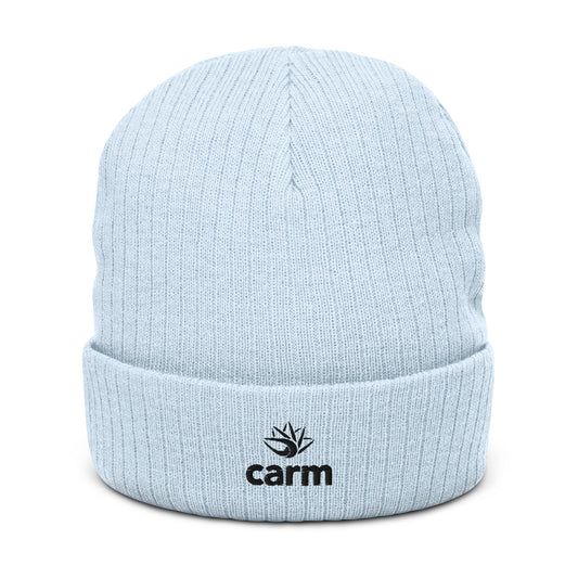 Ribbed Knit Beanie